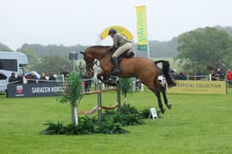 A37_0440 2026