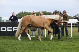 E29_0045 2026
