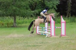 263 CLOONAGH SHADOW