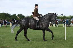 E36_0437 2026