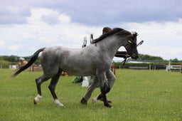 J36_7100 2026