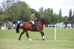 W36_1883 2026