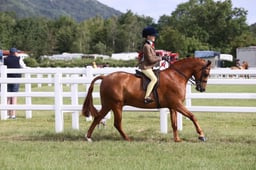 H162 HOYS SHP 133cm