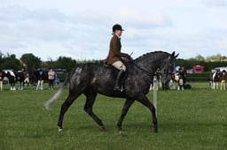E36_0402 2026