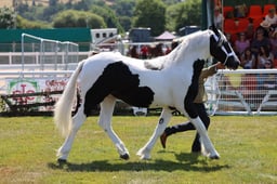 Z68_0220 2026