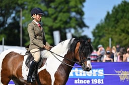 587 Native Ridden Pony