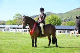 41 TSR Large Breed M&M Ridden