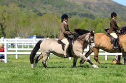 H19_1177 2026