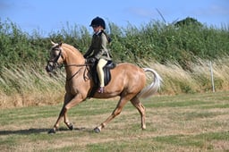 S60_0097 2026
