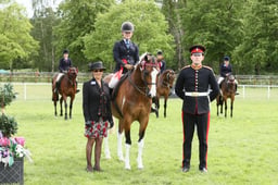 E31_3272 2026