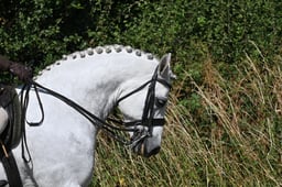 S60_0389 2026