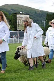 Grand Parade of Livestock