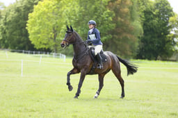 A27_3979 2026