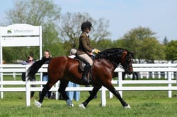 H19_0402 2026