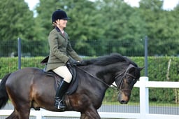 H16 Novice Ridden Connemara & NF