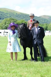 H9-H3 HOYS LARGE BREEDS CHAMPIONSHIP