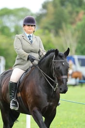 H36_8108 2026