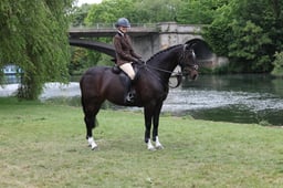 15.00 - 16.00