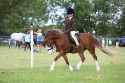 W36_0596 2026