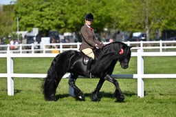 64-60 M&M Pure Novice Championship
