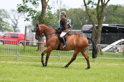 C34_1644 2026