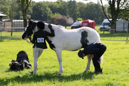 C33_0509 2026