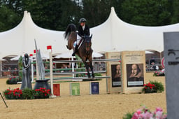 H31_8666 2026