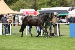 E28_0701 2026
