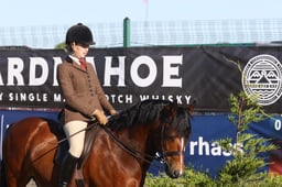 578 HOYS Ridden New Forest