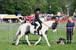 C33_0383 2026