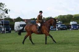 E36_0459 2026