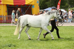 E34_2680 2026