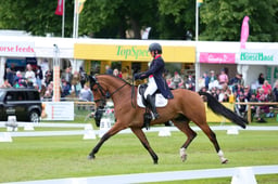 211 RENKUM JITTERBUG