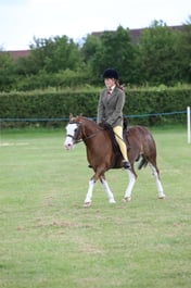 W36_2331 2026