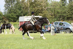 E36_1763 2026