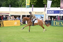 T38_2059 2026