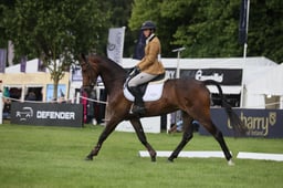 S38_0080 2026