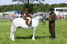 E33_4860 2026