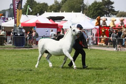 E34_1592 2026