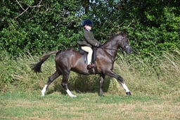 S60_0074 2026