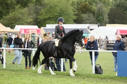 E30_3031 2026