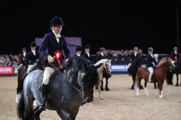 M&M Ridden Pony of the Year Championship