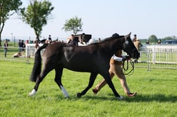 C33_0317 2026