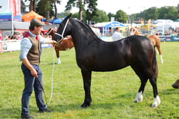 E69_0943 2026