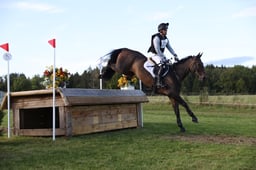 571 KILLEENHOUSESTUD OBOS 16