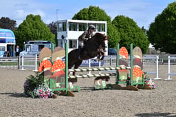 A30_0498 2026