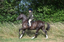S60_0095 2026