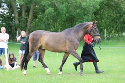 J36_6585 2026