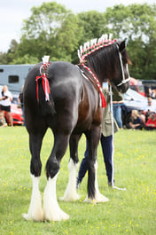 E36_1074 2026