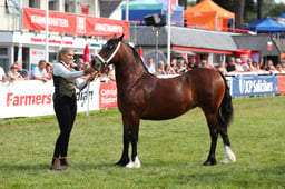 E69_0947 2026